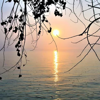 Bodensee © Pixabay / Pasja