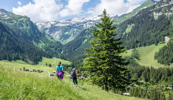 Wandern © Bodensee Vorarlberg Tourismus / Helmut Düringer