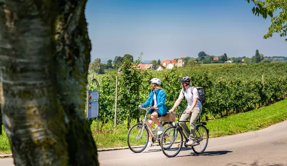 Radfahren © Echt Bodensee