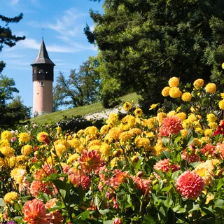 Insel Mainau © Insel Mainau / Peter Allgaier