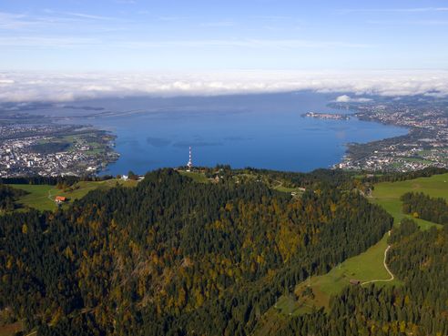 Ausblick vom Pfänder